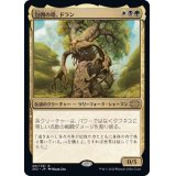 [EX+]包囲の搭、ドラン/Doran, the Siege Tower《日本語》【2X2】