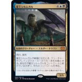 (FOIL)龍王シルムガル/Dragonlord Silumgar《日本語》【2X2】
