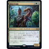 (FOIL)練達の生術師/Master Biomancer《日本語》【2X2】