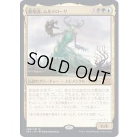 [EX+]墓場波、ムルドローサ/Muldrotha, the Gravetide《日本語》【2X2】