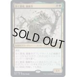 [EX+](FOIL)歩く墓場、髑髏茨/Skullbriar, the Walking Grave《日本語》【2X2】