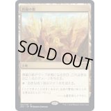[EX](FOIL)真鍮の都/City of Brass《日本語》【2X2】