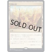 [EX+]真鍮の都/City of Brass《日本語》【2X2】