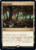 [EX+]禁忌の果樹園/Forbidden Orchard《日本語》【2X2】