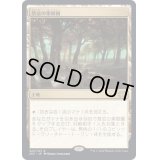 [EX+](FOIL)禁忌の果樹園/Forbidden Orchard《日本語》【2X2】