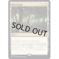 [EX+]禁忌の果樹園/Forbidden Orchard《日本語》【2X2】