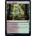 (FOIL)ゴルガリの腐敗農場/Golgari Rot Farm《日本語》【2X2】