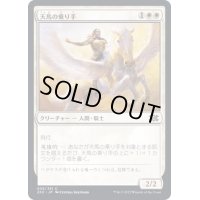 (FOIL)天馬の乗り手/Wingsteed Rider《日本語》【2X2】