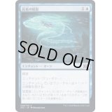(FOIL)長魚の陰影/Eel Umbra《日本語》【2X2】