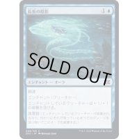 (FOIL)長魚の陰影/Eel Umbra《日本語》【2X2】