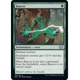 怨恨/Rancor《英語》【2X2】