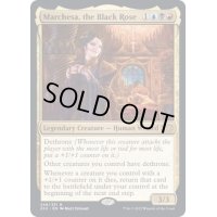 [EX+]黒薔薇のマルチェッサ/Marchesa, the Black Rose《英語》【2X2】
