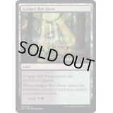 (FOIL)ゴルガリの腐敗農場/Golgari Rot Farm《英語》【2X2】