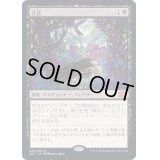 [EX+](FOIL)苦花/Bitterblossom《日本語》【2X2】