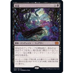 画像1: [EX+]苦花/Bitterblossom《日本語》【2X2】