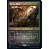 [EX+](エッチングFOIL)暗殺者の戦利品/Assassin's Trophy《日本語》【2X2】