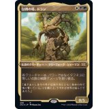 [EX+](エッチングFOIL)包囲の搭、ドラン/Doran, the Siege Tower《日本語》【2X2】