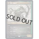 [EX](エッチングFOIL)歩く墓場、髑髏茨/Skullbriar, the Walking Grave《日本語》【2X2】