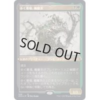 [EX](エッチングFOIL)歩く墓場、髑髏茨/Skullbriar, the Walking Grave《日本語》【2X2】