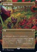 (FOIL)(フルアート)禁忌の果樹園/Forbidden Orchard※コレクターブースター産《日本語》【2X2】