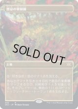 (フルアート)禁忌の果樹園/Forbidden Orchard《日本語》【2X2】