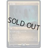 [EX](エッチングFOIL)魂の洞窟/Cavern of Souls《日本語》【2X2】