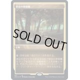 (エッチングFOIL)禁忌の果樹園/Forbidden Orchard《日本語》【2X2】