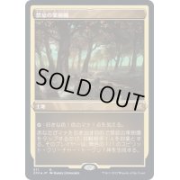 (エッチングFOIL)禁忌の果樹園/Forbidden Orchard《日本語》【2X2】