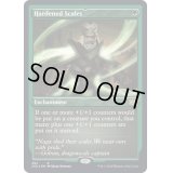 (エッチングFOIL)硬化した鱗/Hardened Scales《英語》【2X2】