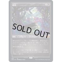 [EX](エッチングFOIL)苦花/Bitterblossom《日本語》【2X2】
