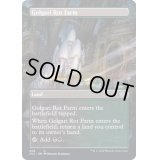 (FOIL)(フルアート)ゴルガリの腐敗農場/Golgari Rot Farm《英語》【2X2】