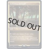 (エッチングFOIL)禁忌の果樹園/Forbidden Orchard《英語》【2X2】