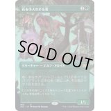 [EX+](FOIL)(フルアート)花を手入れする者/Bloom Tender※ドラフトブースター産《日本語》【2X2】