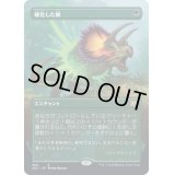 (FOIL)(フルアート)硬化した鱗/Hardened Scales※ドラフトブースター産《日本語》【2X2】