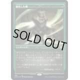 [EX+](エッチングFOIL)硬化した鱗/Hardened Scales《日本語》【2X2】