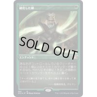 [EX+](エッチングFOIL)硬化した鱗/Hardened Scales《日本語》【2X2】