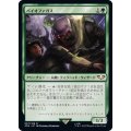 [EX+]バイオファガス/Biophagus《日本語》【40K】
