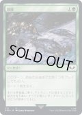 [EX+]探検/Explore《日本語》【40K】