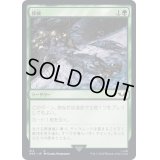 [EX+]探検/Explore《日本語》【40K】