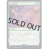 不屈の自然/Rampant Growth《日本語》【40K】