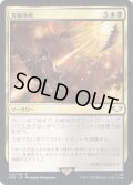 [EX+]究極浄化/Exterminatus《日本語》【40K】