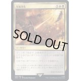 [EX+]究極浄化/Exterminatus《日本語》【40K】