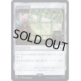 (233)統率者の宝球/Commander's Sphere《日本語》【40K】