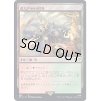 燃えがらの林間地/Cinder Glade《日本語》【40K】