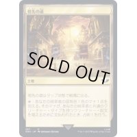 祖先の道/Path of Ancestry《日本語》【40K】