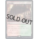 [EX+]奔放の神殿/Temple of Abandon《日本語》【40K】