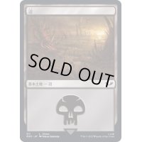 (311)沼/Swamp《日本語》【40K】