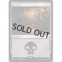 (312)沼/Swamp《日本語》【40K】