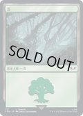 (317)森/Forest《日本語》【40K】