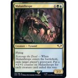 [EX+]マランスロープ/Malanthrope《英語》【40K】